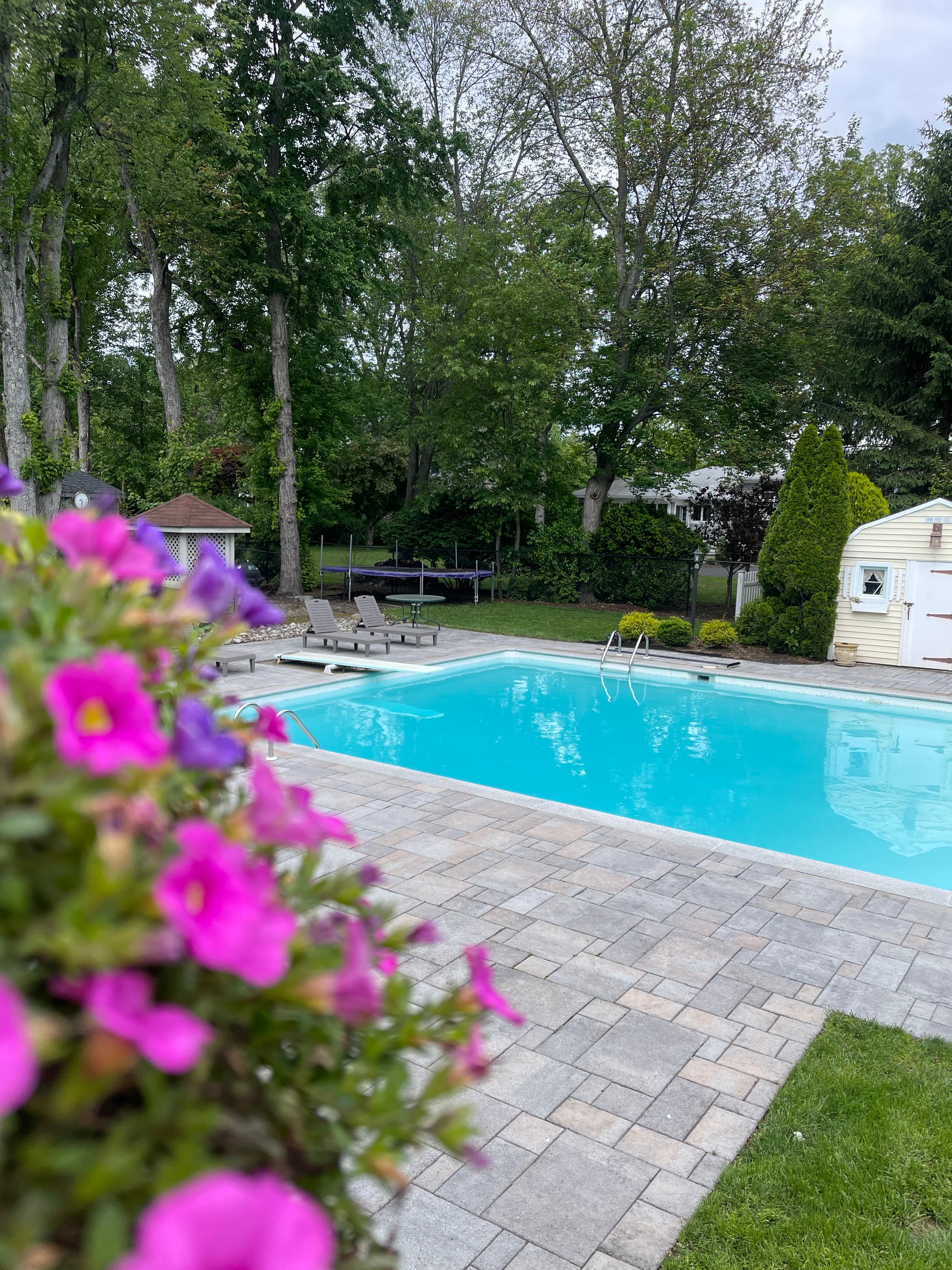 Backyard pool with flowers in bloom