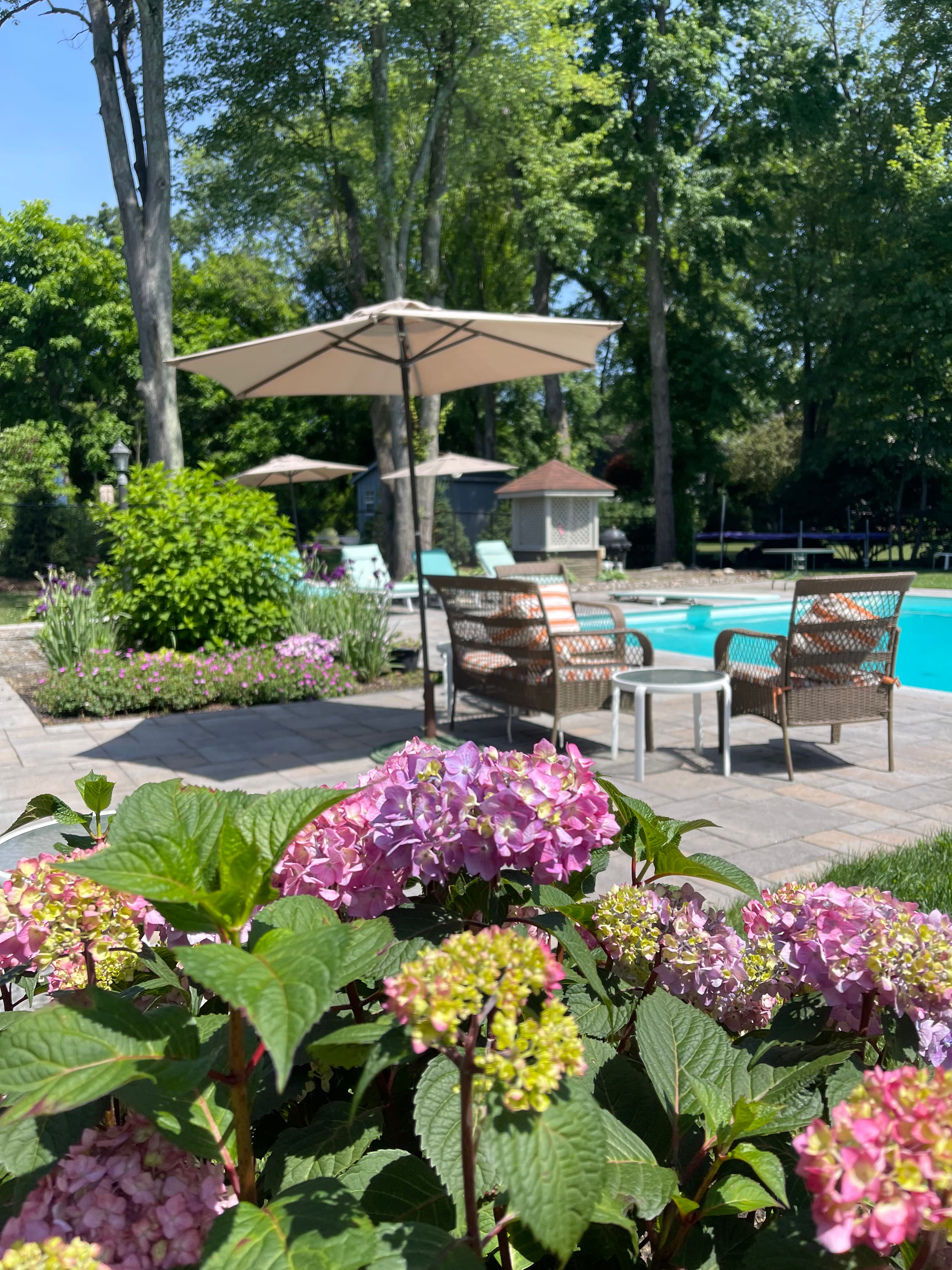 Poolside patio with umbrella and hydrangeas